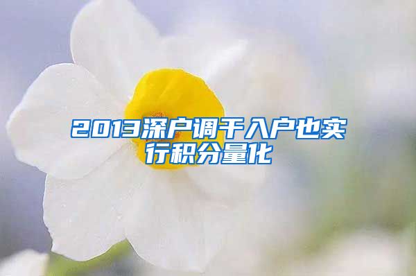 2013深户调干入户也实行积分量化