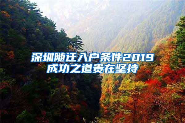 深圳随迁入户条件2019成功之道贵在坚持