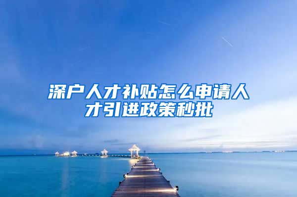 深户人才补贴怎么申请人才引进政策秒批