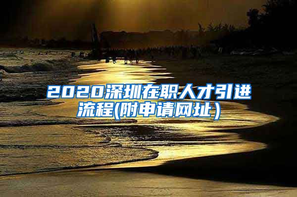 2020深圳在职人才引进流程(附申请网址）