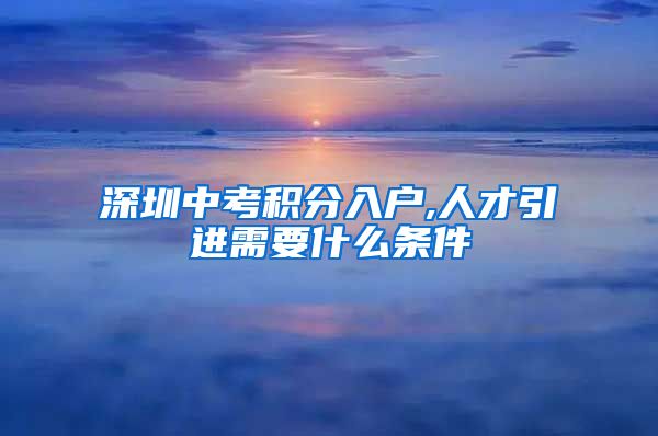 深圳中考积分入户,人才引进需要什么条件