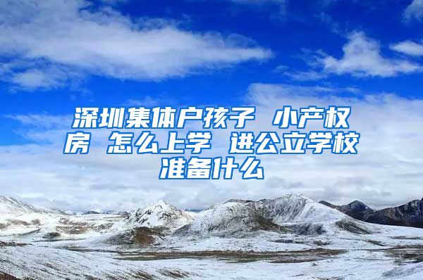 深圳集体户孩子 小产权房 怎么上学 进公立学校准备什么