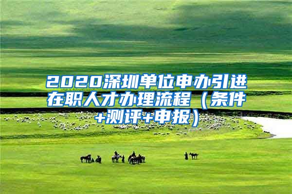 2020深圳单位申办引进在职人才办理流程（条件+测评+申报）