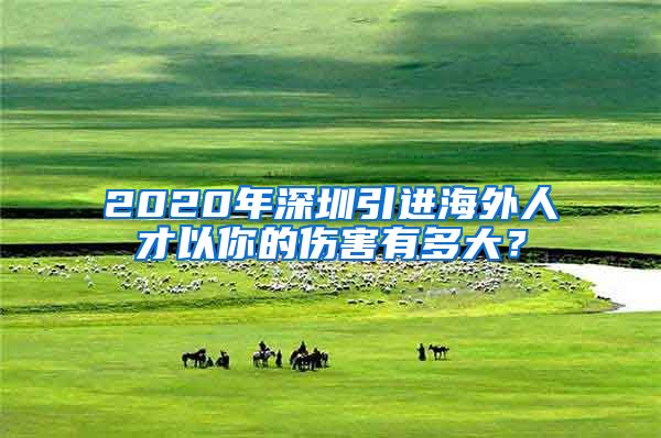 2020年深圳引进海外人才以你的伤害有多大？