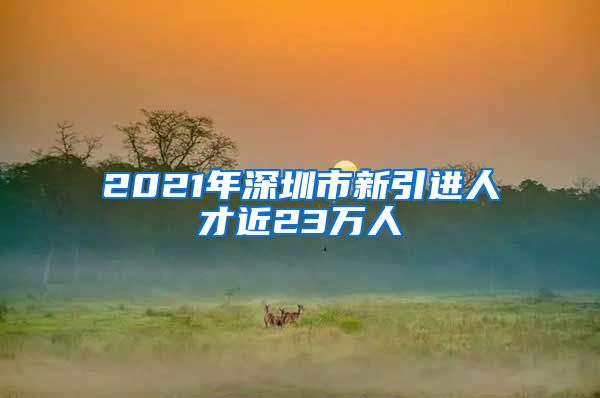 2021年深圳市新引进人才近23万人