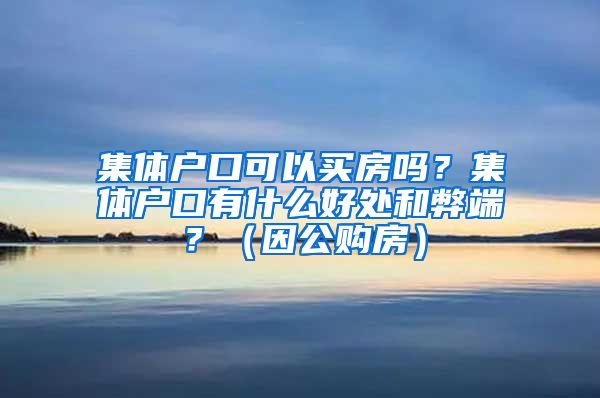 集体户口可以买房吗？集体户口有什么好处和弊端？（因公购房）