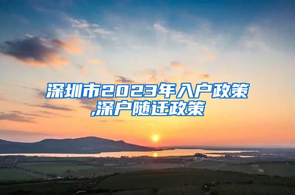 深圳市2023年入户政策,深户随迁政策