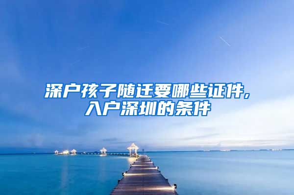 深户孩子随迁要哪些证件,入户深圳的条件