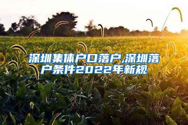 深圳集体户口落户,深圳落户条件2022年新规