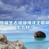 应届生去深圳海洋王照明怎么样？