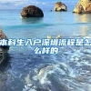 本科生入户深圳流程是怎么样的