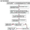 2020年非上海生源应届普通高校毕业生落户材料办理流程及注意事项