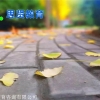 深户指南：深圳人才补贴自考本科