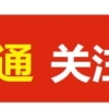 2022年山东济宁金乡县事业单位“优才计划”人才引进公告